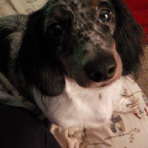 Meet your Posher, Jackie